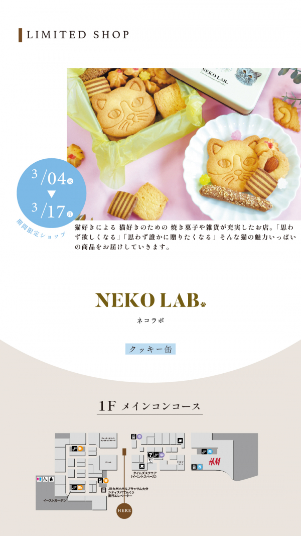 NEKO LAB.（クッキー缶） │ ニュース&イベント │ アミュプラザ