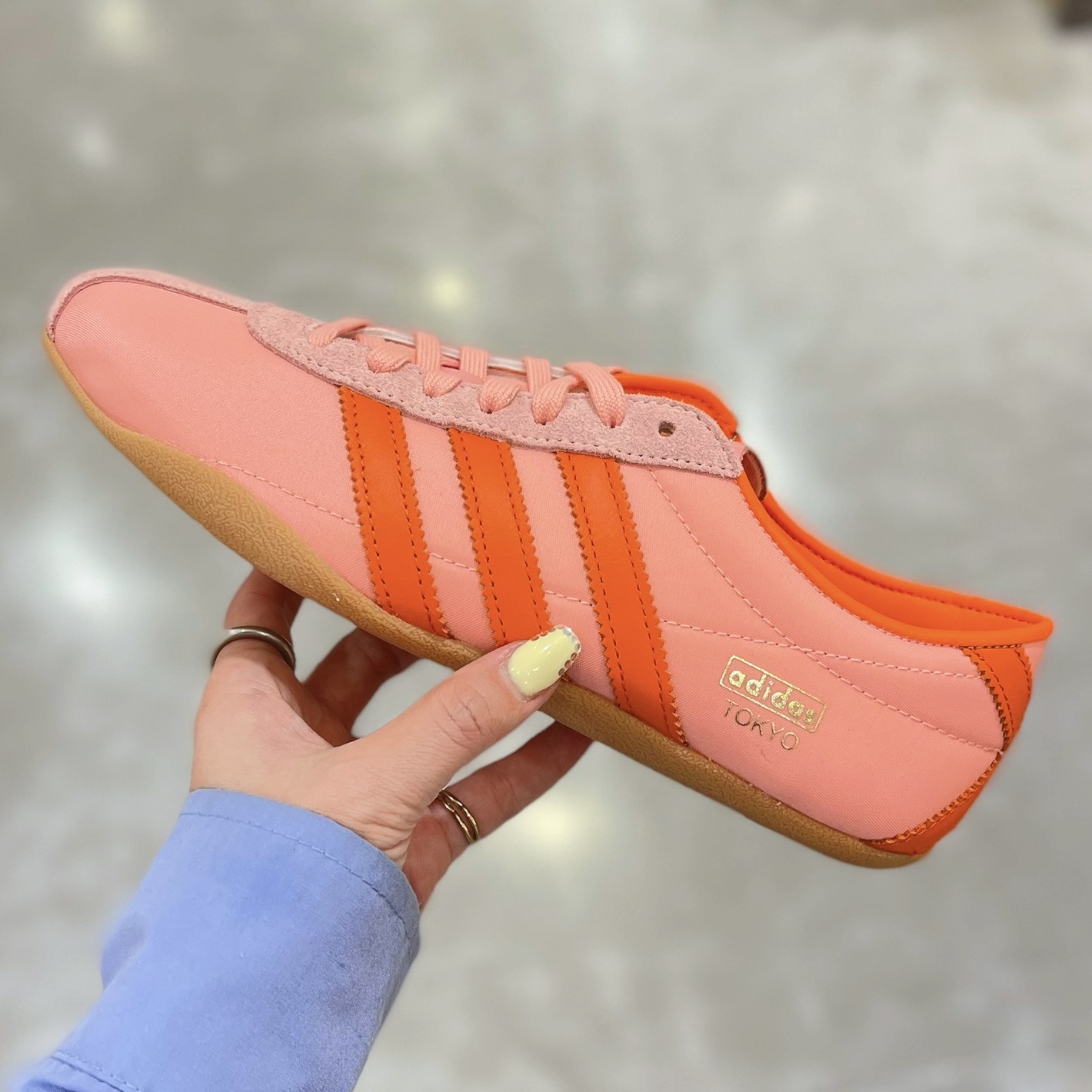 大特価放出！ Arrival New ☆ ☆ アミュ │ ショップブログ │ │ACEShoes その他