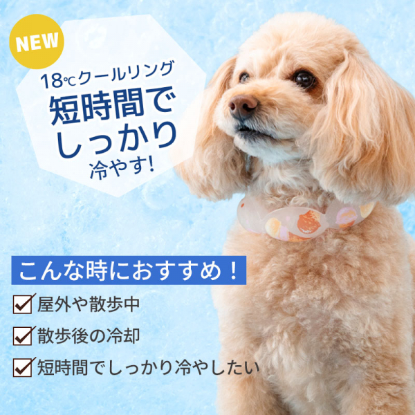 これからの季節にオススメ🍉クールリングが入荷しました🐶⭐ │PET